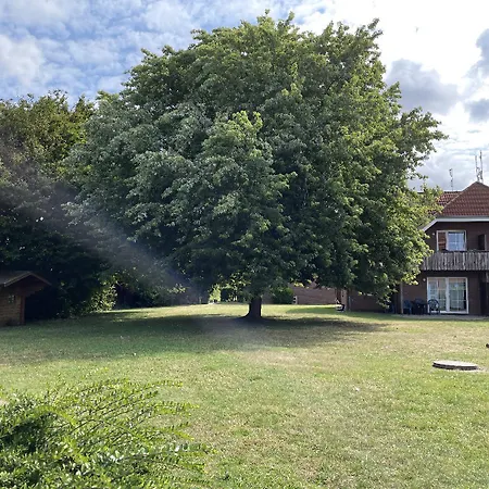 Strandhuepfer * Petersdorf auf Fehmarn